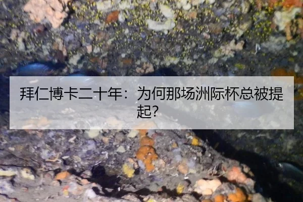 拜仁博卡二十年：为何那场洲际杯总被提起？